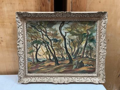 Roland MASCART (1909-?)
Bois de la folie,...