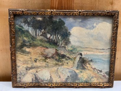Modern school
Pines by the sea

Watercolor...