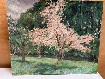 Modern school 
Apple tree in bloom
Oil on...