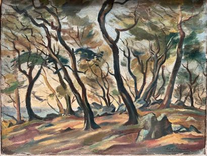 Roland MASCART (1909-?)
Bois de la folie,...