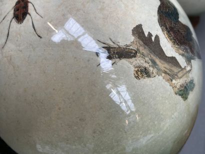 Paire de boules en verre peintes d'oiseaux...