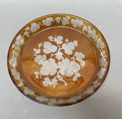 Verre et coupe en verre de Bohême teinté...