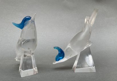LALIQUE France
Deux oiseaux à crête bleue...