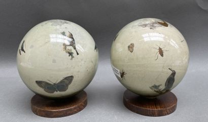 Paire de boules en verre peintes d'oiseaux...