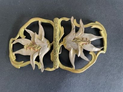 Set of six metal belt buckles, including...