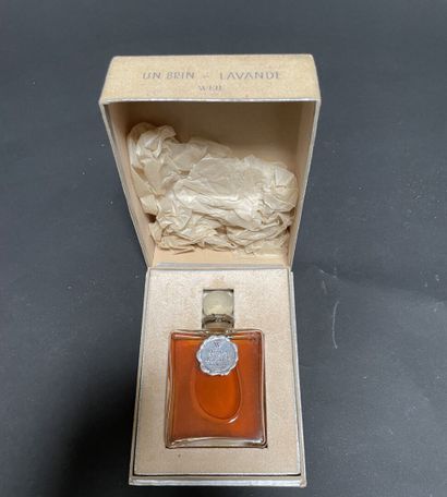 WEIL Perfumes
