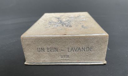 WEIL Perfumes

