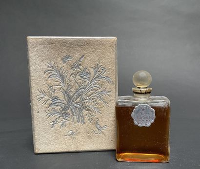 WEIL Perfumes
