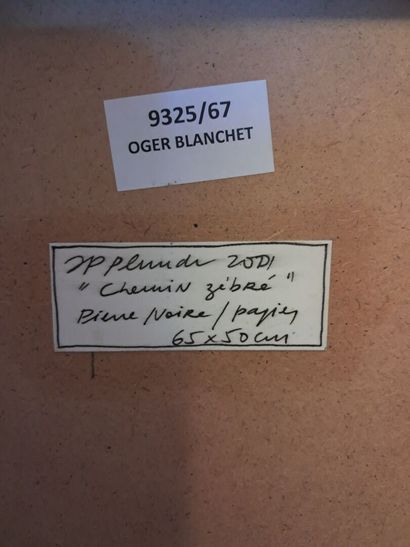 Jean-Pierre PLUNDR (né en 1957) 
Chemin zébré

Pierre...