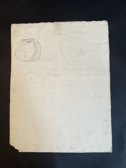 Lot d'œuvres sur papier
Esquisses, reproductions,...