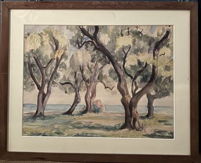 Claire MAILLET (XXe siècle)

Arbres en bord...