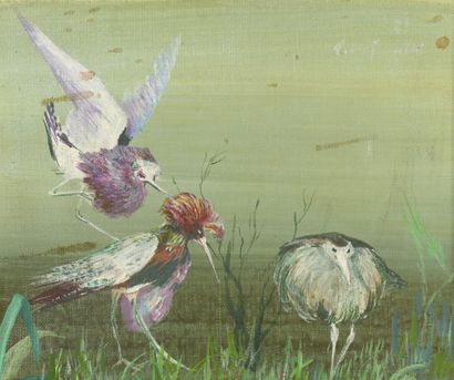 Q. VIRICOULTI ?
Oiseaux
Huile sur toile
Signature...