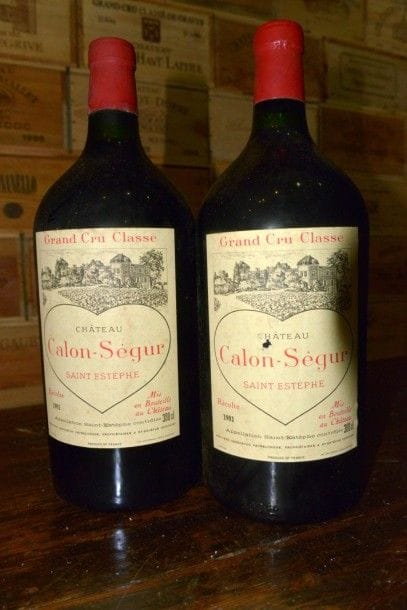 2 double Magnums Château Calon Ségur 1981,...