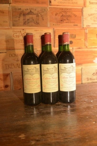 6 Bouteilles Château Calon Ségur 1989, niveaux:...