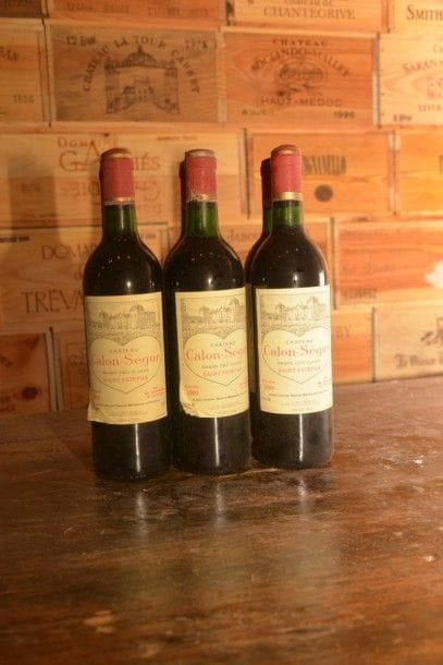6 Bouteilles Château Calon Ségur 1989, niveaux:...