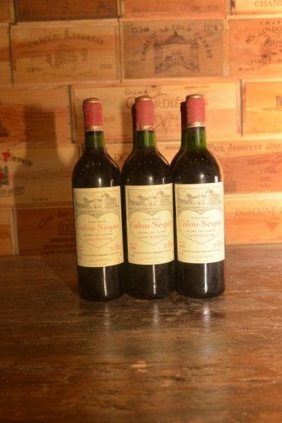 6 Bouteilles Château Calon Ségur 1989, niveaux:...