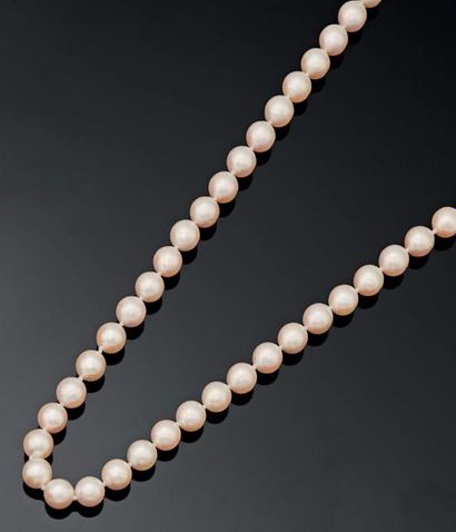Collier choker de 61 perles de culture. Fermoir...