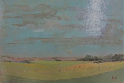 Henri DAVY (1913-1988)

Paysage de montagne

Campagne

Bateau...
