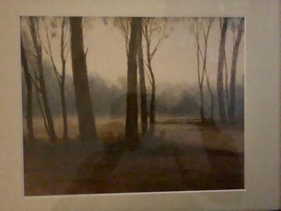 H68 FUMIKO. École Japonaise du XXème siècle
SOUS-BOIS...