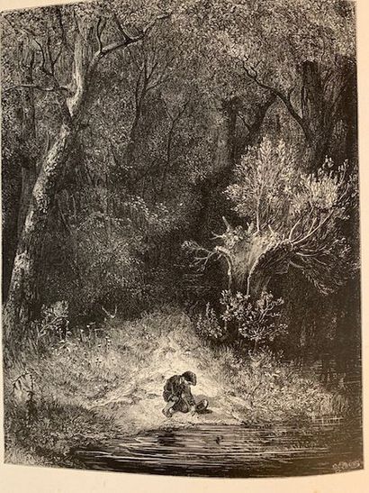V11 Ensemble de volumes illustrés par Gustave...