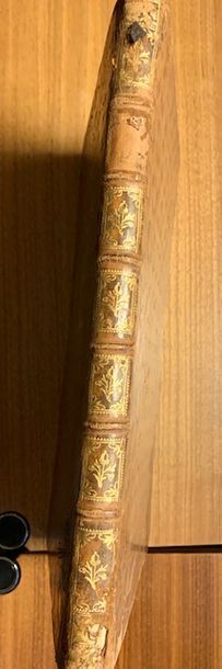 V55 MATHURIN JOUSSE (1575-1645)

L'Art de...