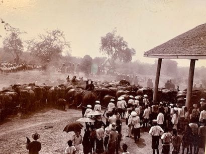 CP20bis Album de photographies sur Bangkok,...