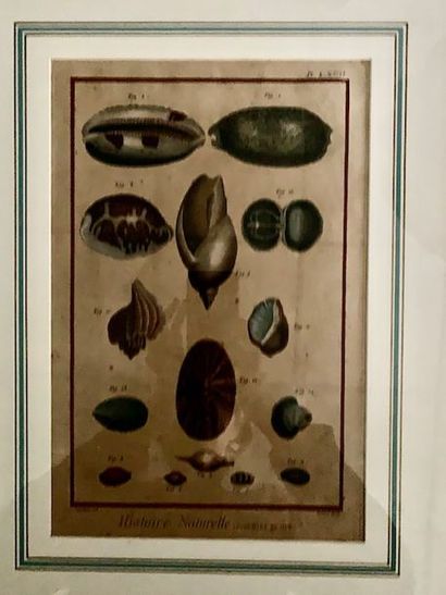 G18 Suite de sept gravures en couleur d'Histoire...