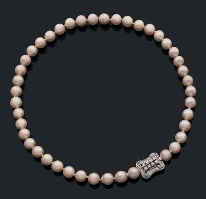 Collier de perles de culture choker, le fermoir...