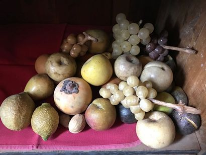 Hard stone fruit set: figs, pears, white...