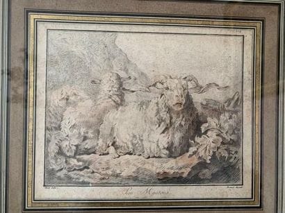 Engraving in black and sanguine: BÉLIER ET...