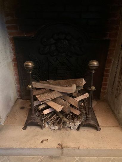 Pair of cast iron andirons with brass head...