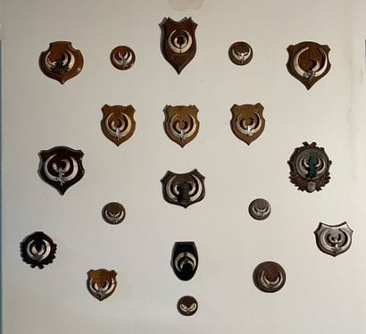 Set of nineteen hunting trophies made up...