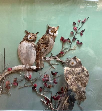 Diorama in feather representing three owls...