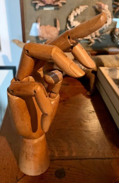 Main de peintre articulée, moderne.
Haut.:...