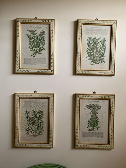 Suite de quatre planches de botanique imprimées...