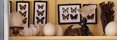 Set of five ostrich eggs, two of them on...