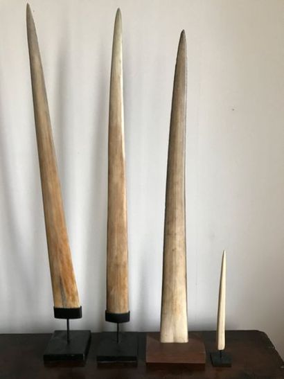 Set of swordfish rostrums.
Height: from 76...