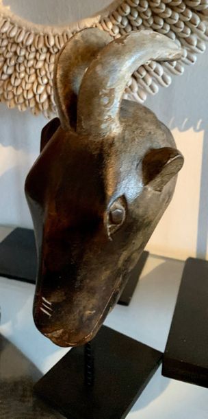Small African mask with a goat's head.
Baule...