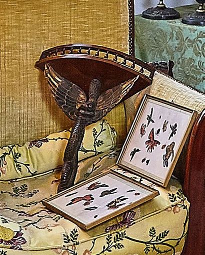 Pair of paintings on rice paper about butterflies...