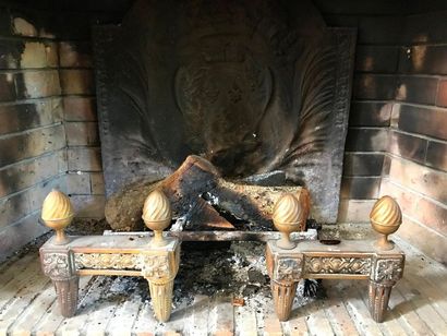 Paire de chenets en bronze doré, décor de...