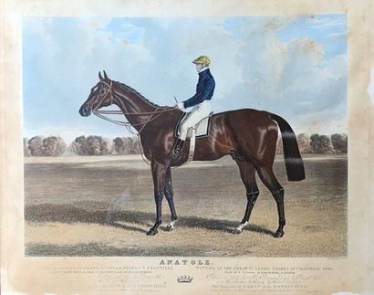 Suite de six gravures anglaises de chasse...