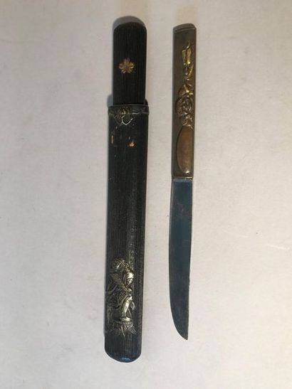 JAPON, Début du XXème siècle.

Kizeruzutsu...