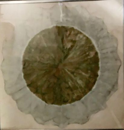 École MODERNE: ROSACE.

Aquarelle sur papier.
A...