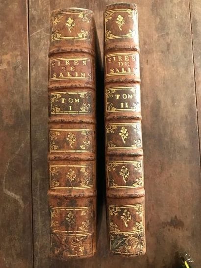 Two bound volumes Histoire Généalogique des...
