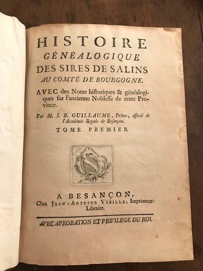 Two bound volumes Histoire Généalogique des...