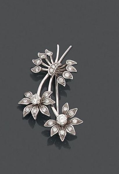 Broche à monture en or gris 18K (750), figurant...