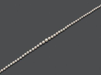 Collier de perles de culture en chute, le...