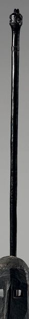 Dignitary cane. Kwele people. Gabon. Before...