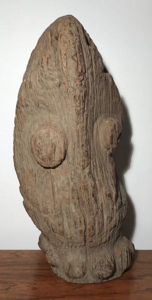 Garamut drumhead. Eroded wood. 
Sepik River....