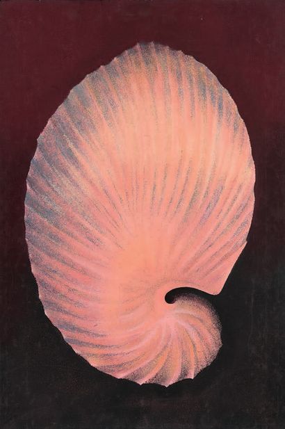 ATELIER JACQUES FOUGEIROL
COQUILLAGE. 
Gouache,...